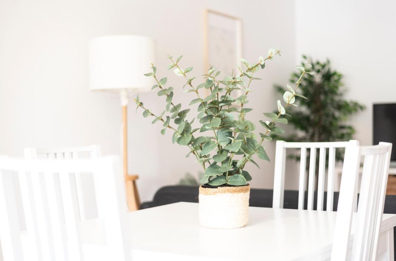 Apartamento Tierra フェロル エクステリア 写真
